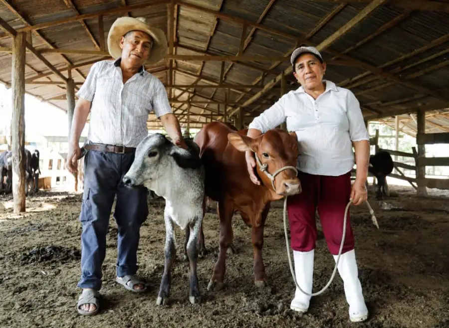 LAVAT guatemala