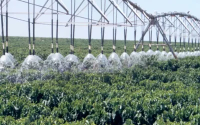 Sistemas de Irrigación Modernos: Ventajas para la Agricultura Guatemalteca