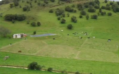 Cómo Implementar un Sistema de Rotación de Pastos para Aumentar la Producción